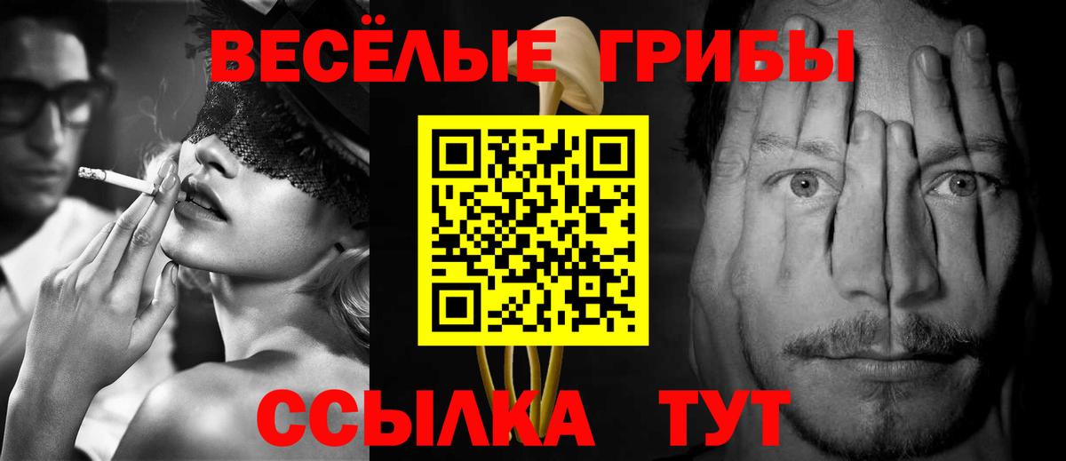 Псилоцибиновые грибы мицелий  Вход с VPN  Псилоцибиновые грибы ЛСД  Новосибирск 